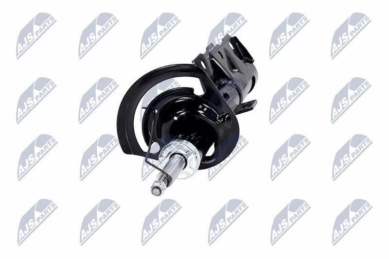 Amort, NTY A-CH-057