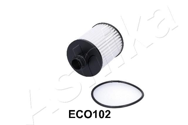 10-ECO102_1.JPG