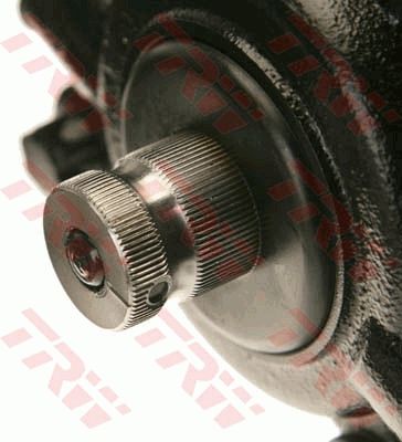 0161JRB5049_1.JPG