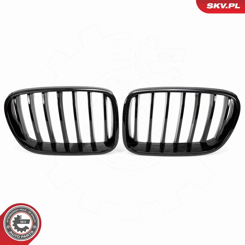 ESEN SKV 66SKV248 Radiator Grille