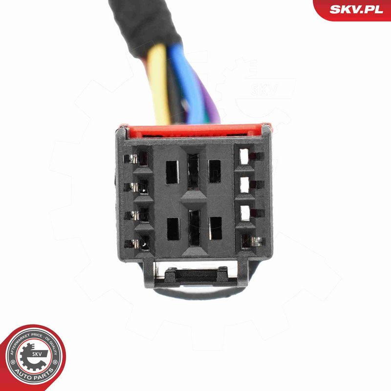 ESEN SKV 52SKV190 Electric Motor, tailgate