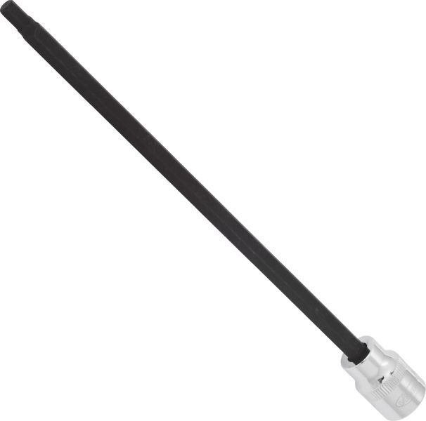 Padrun, VIGOR V6156