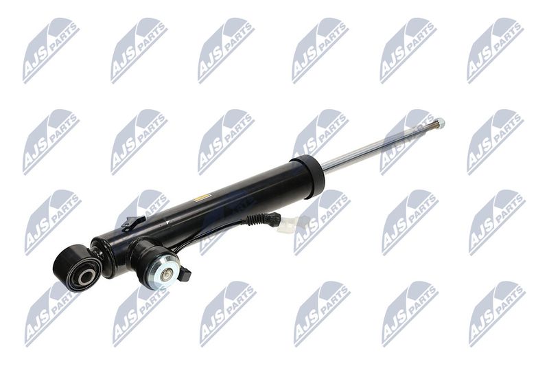 Amort, NTY A-PL-065
