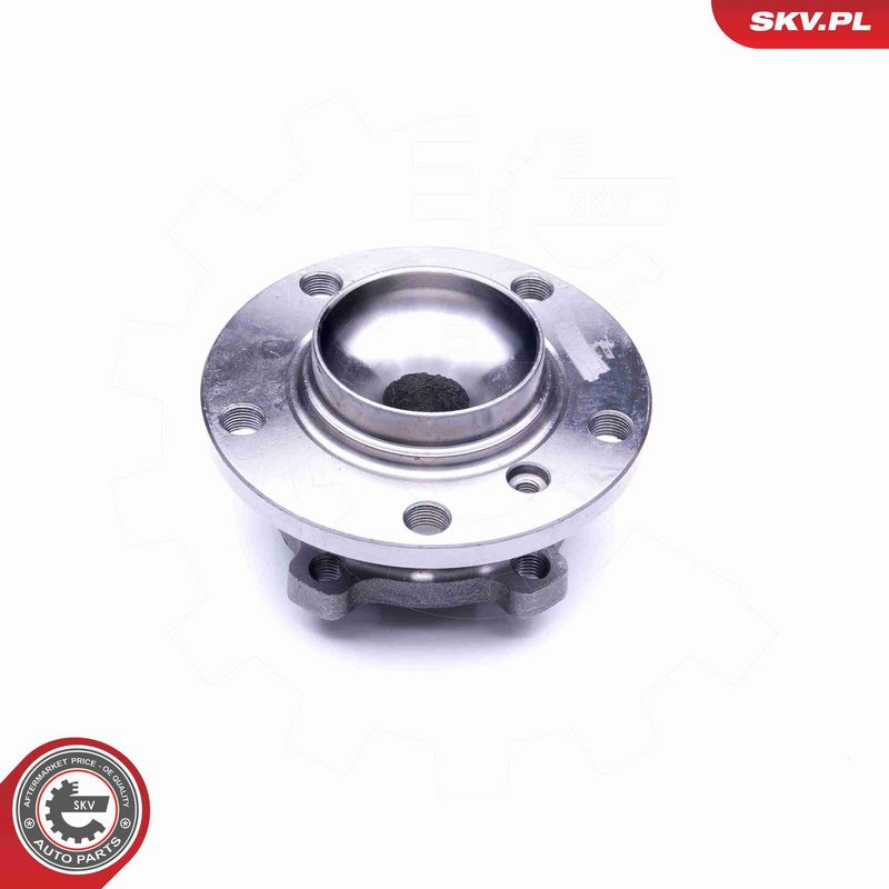 ESEN SKV 29SKV250 Wheel Bearing Kit