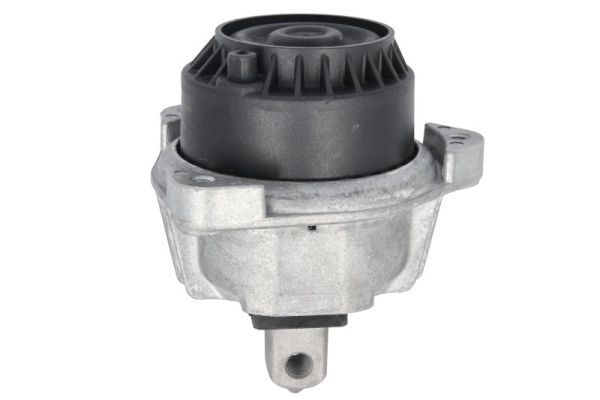 REINHOCH RH11-3116 Mounting, engine