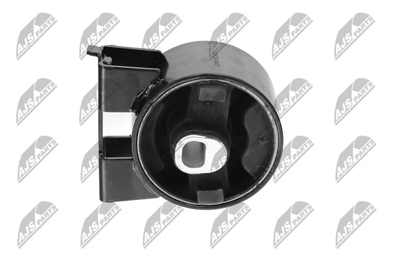 Paigutus, Mootor, NTY ZPS-CH-047