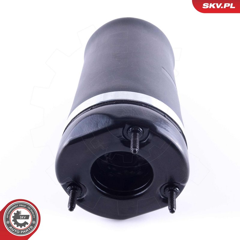 Õhkvedru, vedrustus, ESEN...