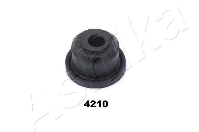 GOM-4210_1.JPG