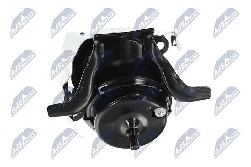 Paigutus, Mootor, NTY ZPS-CH-146