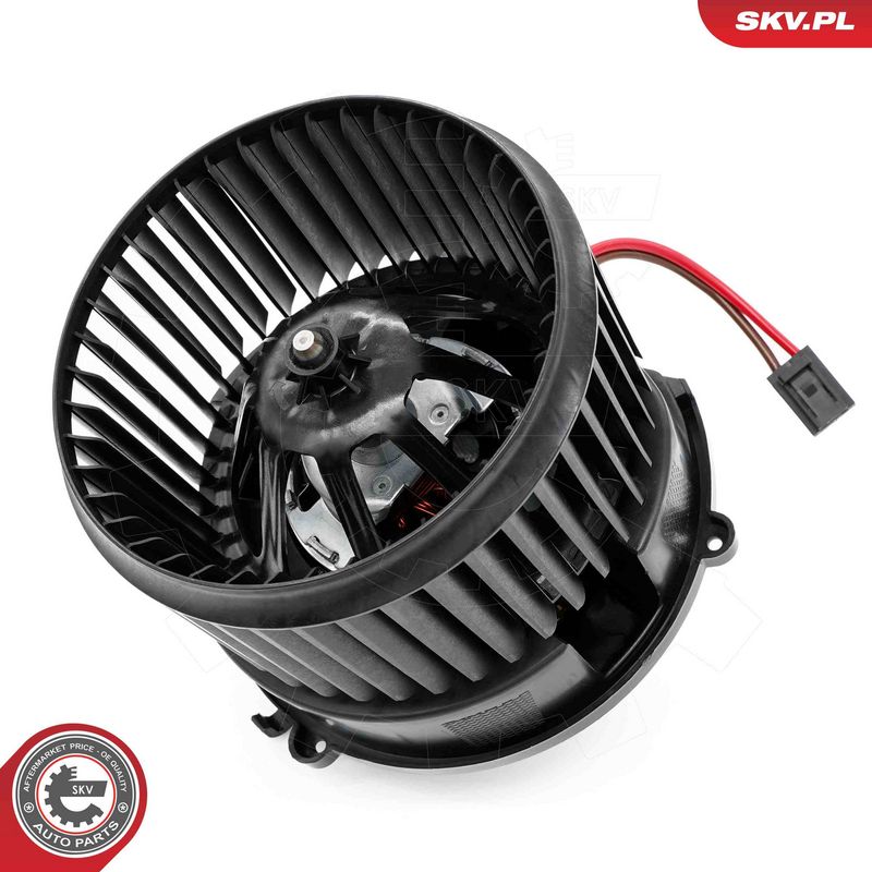 Salongipuhur, ESEN SKV...