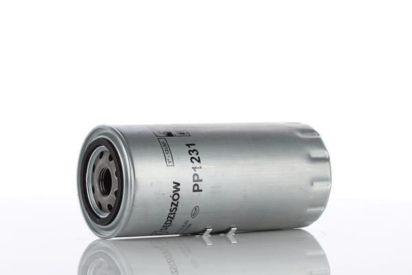 PP1231.JPG
