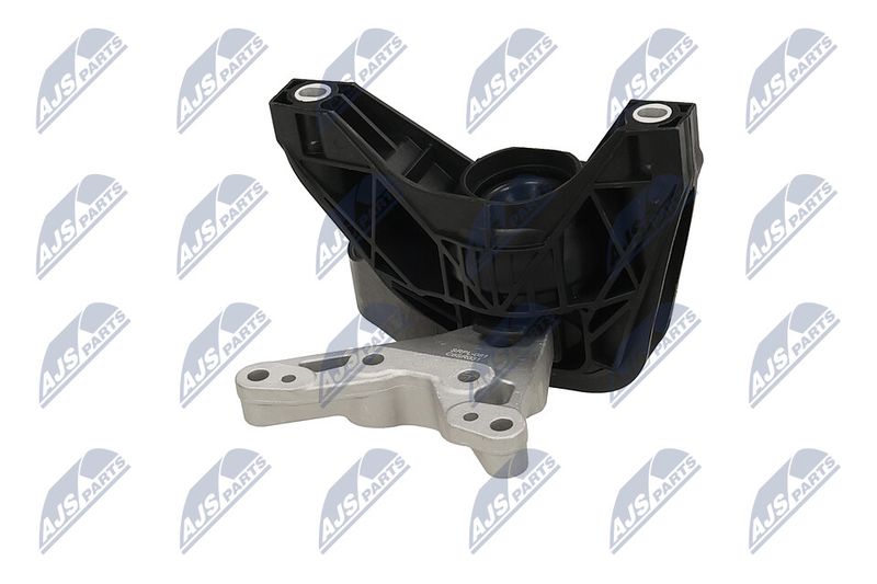 Paigutus, Mootor, NTY ZPS-PL-081