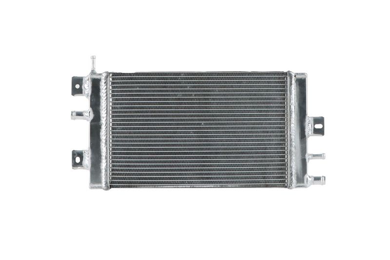 Prekės atitinka OEM kodą: 214109411R