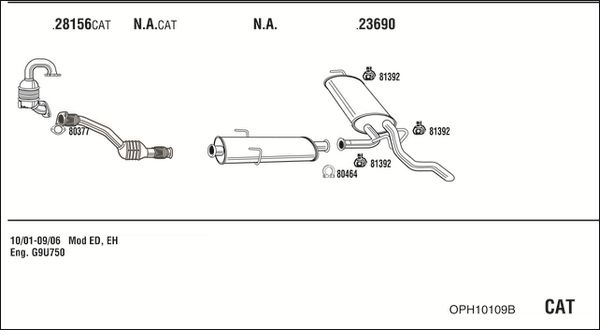OPH10109B_5235725.JPG