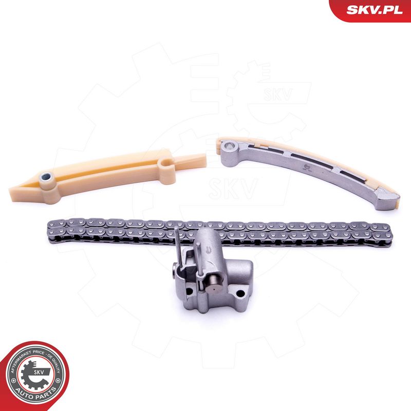 Mootori keti komplekt, ESEN SKV 21SKV165