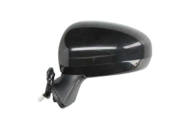 BLIC 5402-19-2002507P Exterior Mirror