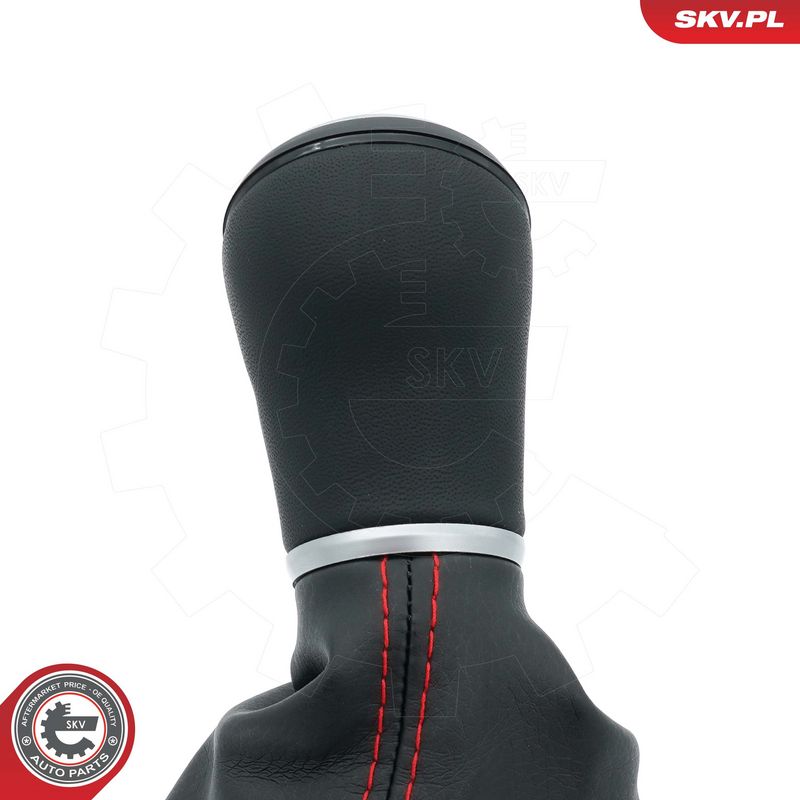 Käigukanginupp, ESEN SKV 63SKV487