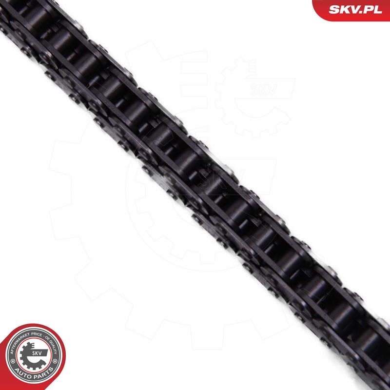 ESEN SKV 21SKV256 Timing Chain Kit