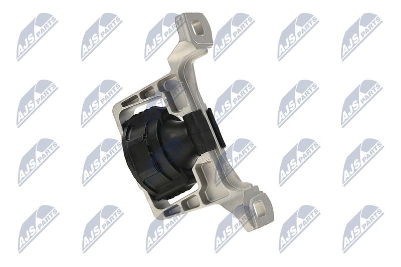 Paigutus, Mootor, NTY ZPS-FR-020