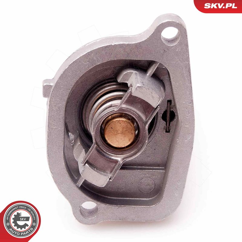 Termostaat, Jahutusvedelik, ESEN SKV 20SKV055