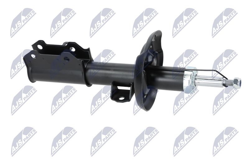 Amort, NTY A-PL-029