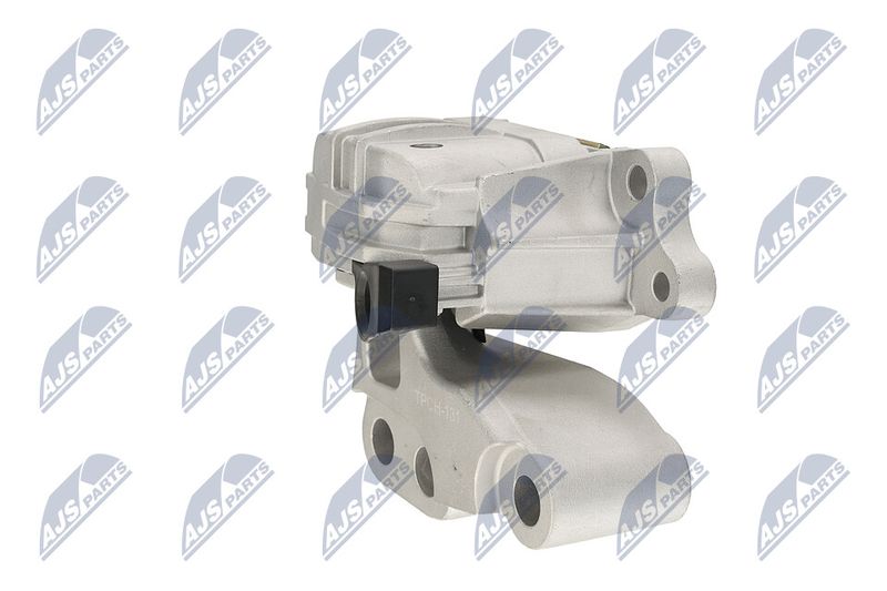 Paigutus, Mootor, NTY ZPS-CH-131