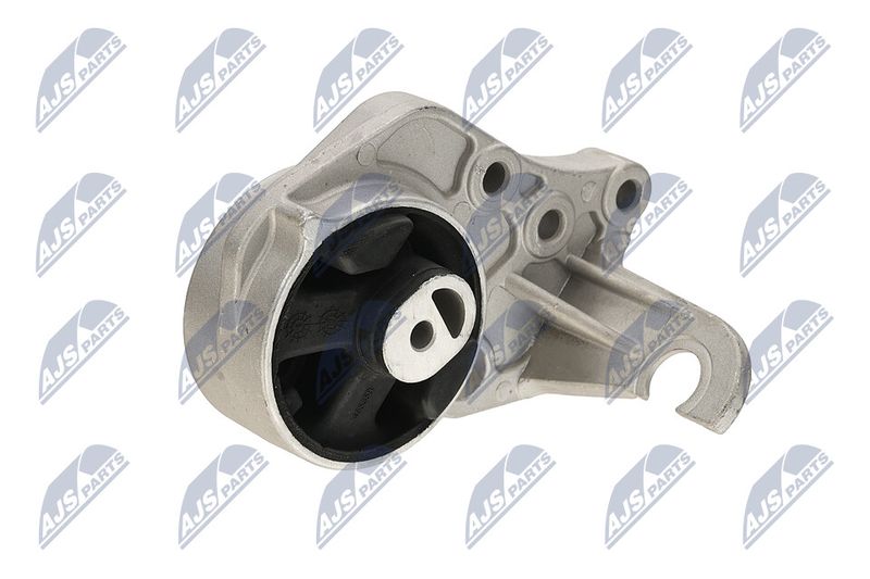 Paigutus, Mootor, NTY ZPS-CH-113