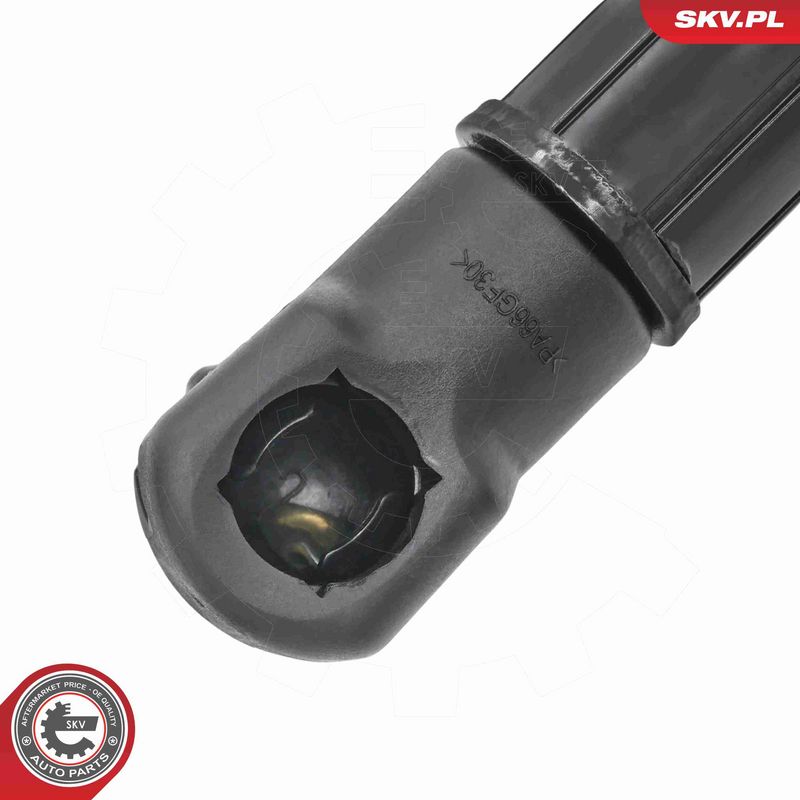 ESEN SKV 52SKV839 Electric Motor, tailgate