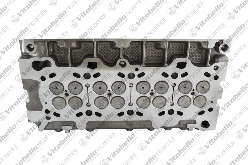 Vitobello ricambi 1004873NO Cylinder Head