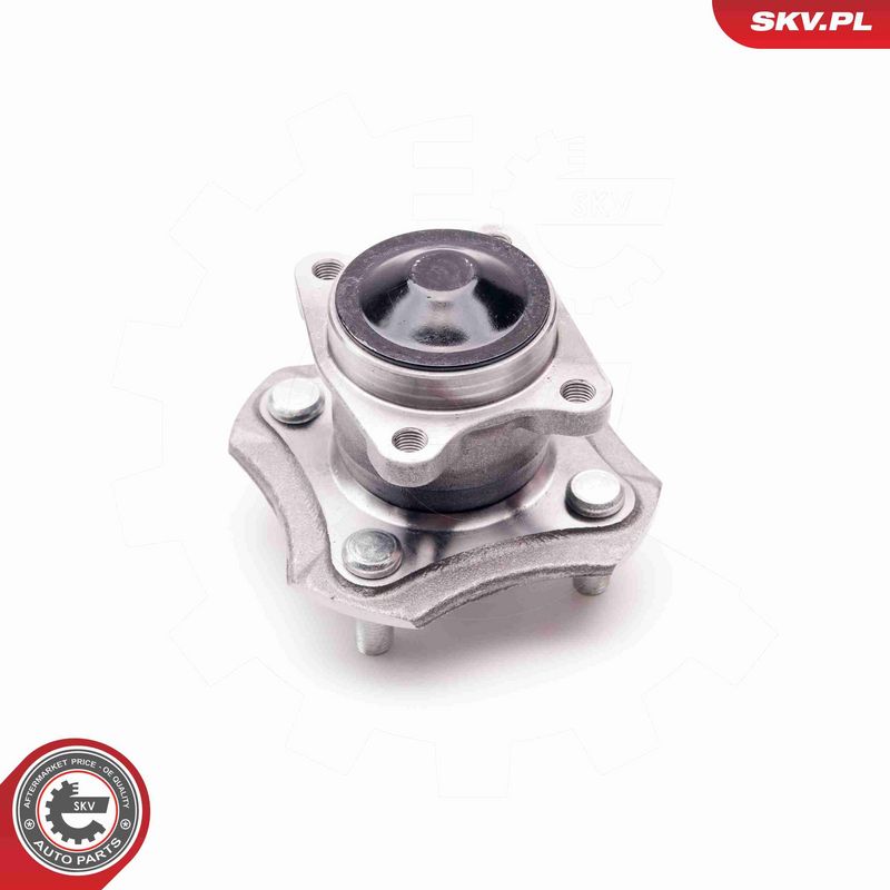 ESEN SKV 29SKV063 Wheel Bearing Kit