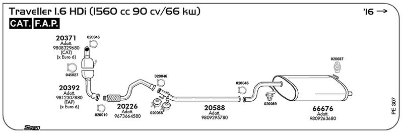pe307_1.JPG