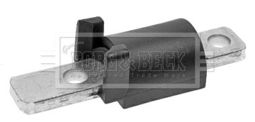 BSK7005_211922.JPG
