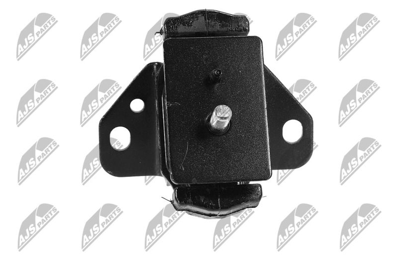 Paigutus, Mootor, NTY ZPS-HY-545