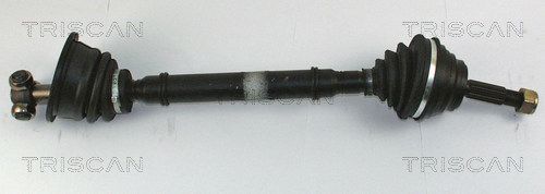 854025545.JPG