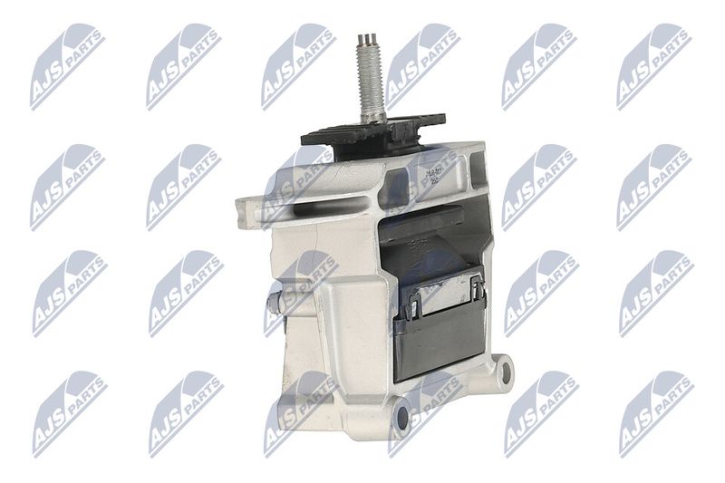 Paigutus, Mootor, NTY ZPS-LR-011