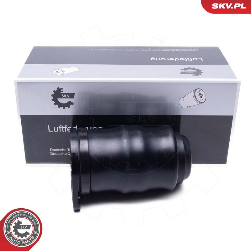 Õhkvedru, vedrustus, ESEN SKV 58SKV092