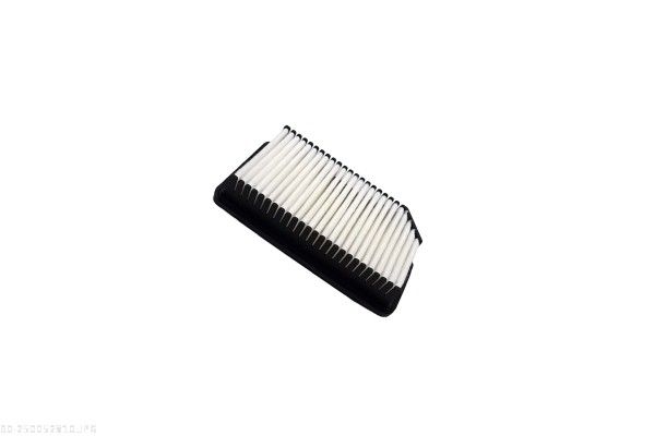 AUTOMEGA 250052810 Air Filter