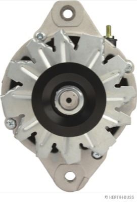 J5115077.JPG
