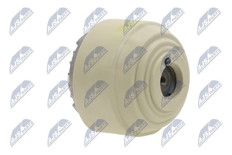 Paigutus, Mootor, NTY ZPS-ME-101