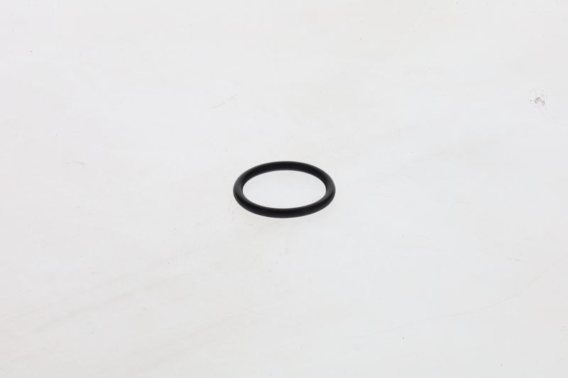BOSCH 1 460 210 306 Rubber Ring