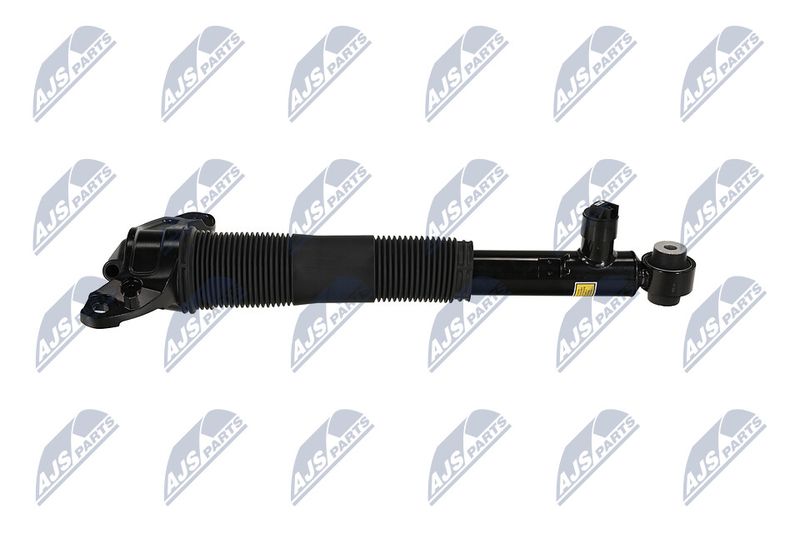Amort, NTY A-LR-037
