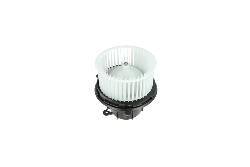 Salongipuhur, NRF 34162