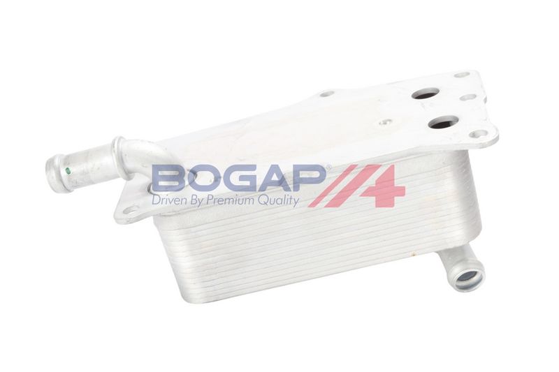 Prekė atitinka OEM kodą: 2465010101 Part