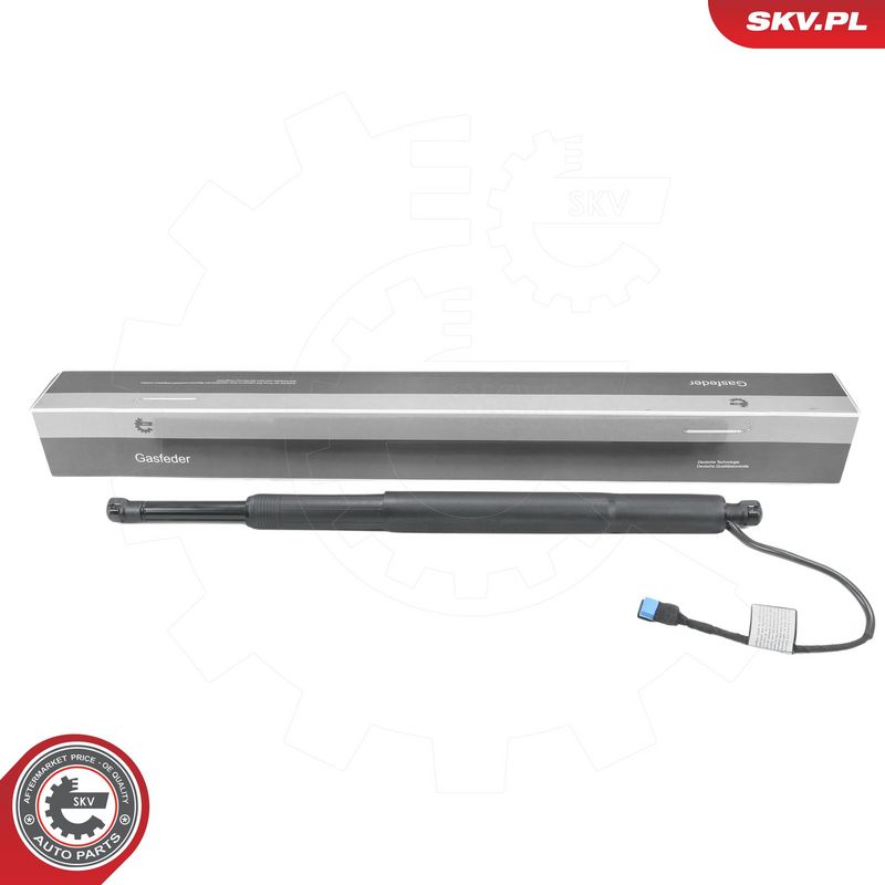 Elektrimootor, tagaluuk, ESEN SKV 52SKV839