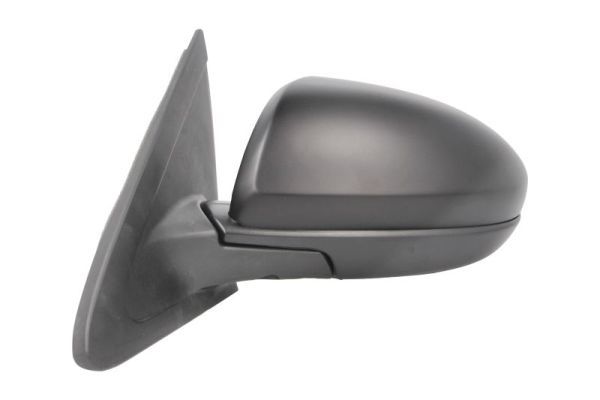 BLIC 5402-14-2001685P Exterior Mirror