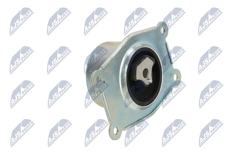 Paigutus, Mootor, NTY ZPS-PL-044