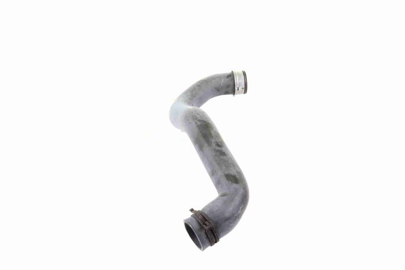 VAICO V30-1913 Radiator Hose