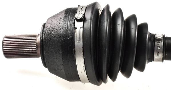 GKND12977B.JPG