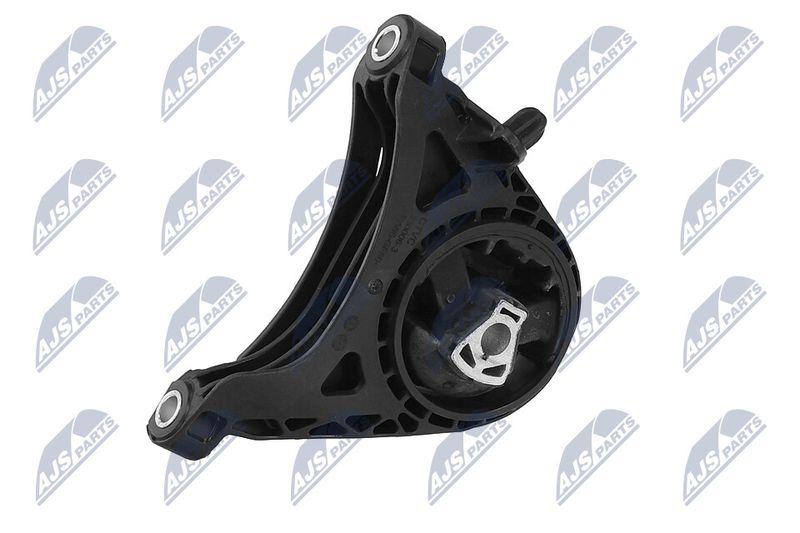 Paigutus, Mootor, NTY ZPS-PL-011