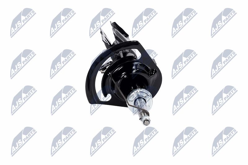 Amort, NTY A-CH-057